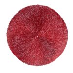 Kilimėlis ELONA D38cm, raudonas