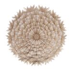 Kilimėlis DANDELION D38cm, auksinis