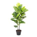 Dirbtinis medis WIND FIDDLE LEAF H190cm - Image 2