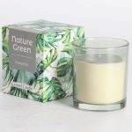 Kvapnioji žvakė stiklinėje dėžutėje NATURE GREEN H9,5cm, Evergreen