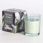 Kvapnioji žvakė stiklinėje NATURE GREEN H9,5cm, "Southern Night
