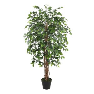 Dirbtinė mediena WIND FICUS H150cm