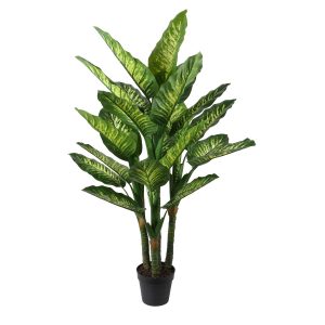 Dirbtinis Timotiejus VĖJAS DIEFFENBACHIA H150cm