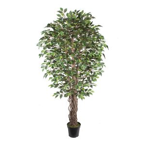 Dirbtinė mediena WIND FICUS H210cm