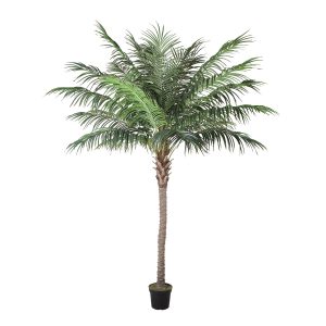 Dirbtinė mediena WIND PALM H260cm