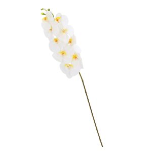 Orchidėja SODYBAI H92cm, baltas falenopsis
