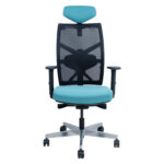 Darbo kėdė TUNE teal blue/black - Image 2