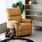 GUSTAV fotelis su rankiniu mechanizmu, geltonos spalvos - Image 5