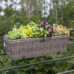 Balkoninė gėlių dėžutė WICKER 60x19xH18cm, tamsiai ruda - Image 2