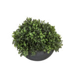 Žalias augalas sode, D30xH25cm, vazone