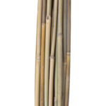 Bambukinės lazdelės sode H120cm 20vnt/komplektas D8/10mm - Image 3