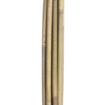 Bambukinės lazdelės sode H150cm 10vnt., rinkinys D10/12mm - Image 3