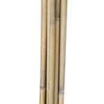 Bambukinės lazdelės sode H180cm 10vnt., rinkinys D12/14mm - Image 3