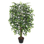 Dirbtinis medis WIND FICUS H120cm