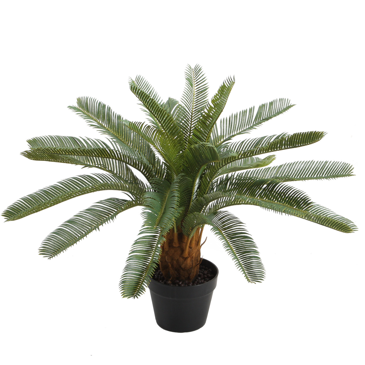 84691_02 Dirbtinis augalas WIND CYCAS H70cm - Image 1