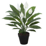 Dirbtinis augalas WIND SPATHE H60cm - Image 2