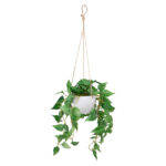 Dirbtinis augalas GREENLAND vazone