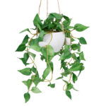 Dirbtinis augalas GREENLAND vazone - Image 2