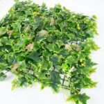 Dirbtinis augalas GREENLAND sienai 50x50cm, lapai - Image 2