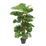 Dirbtinis medis WIND MONSTERA H105cm - Image 2