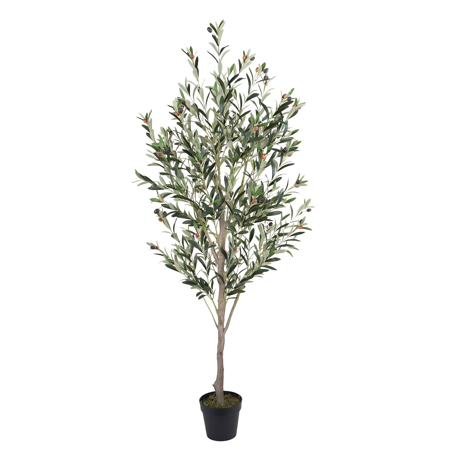87803 Dirbtinis medis WIND OLIVE H180cm - Image 1