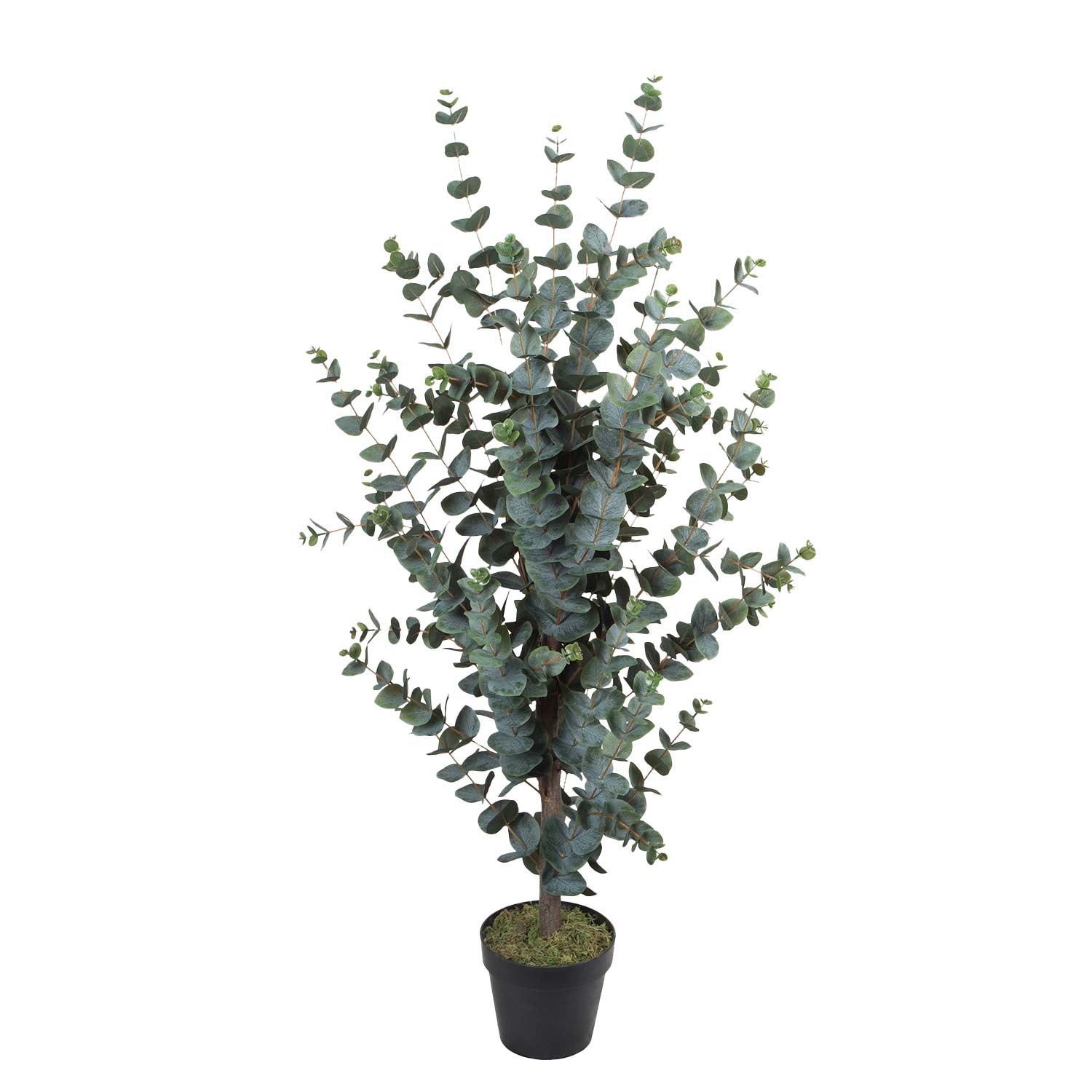 87828 Dirbtinis medis WIND EUCALYPTUS H120cm - Image 1