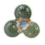 Dekoracija AMY BIRDY 26x26x8,5cm - Image 2