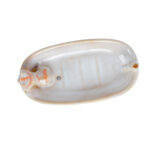 Dekoracija AMY KITTY 18x9x7,5cm - Image 2