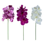 Orchidėja ŽIEDAS H60cm, mišinys