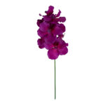 Orchidėja ŽIEDAS H60cm, mišinys - Image 2