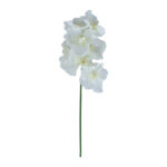 Orchidėja ŽIEDAS H60cm, mišinys - Image 3