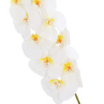 Orchidėja SODYBAI H92cm, baltas falenopsis - Image 2