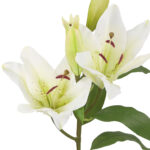 Dirbtinė gėlė GARDEN H75cm, balta lelija - Image 2