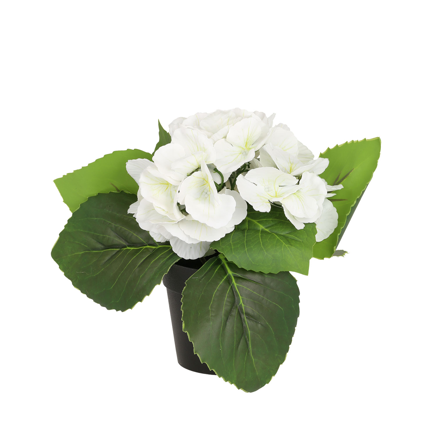 88690 Dirbtinė gėlė SODE H18cm, balta hortenzija su vazonu - Image 1