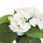 Dirbtinė gėlė SODE H18cm, balta hortenzija su vazonu - Image 2