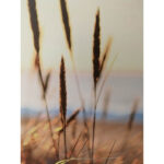 Sienų meno kūriniai WALLY 30x90cm, skubantys - Image 2