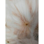 Sienų meno kūrinys WALLY 45x60cm, pienė - Image 2