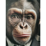 Sienų meno kūriniai WALLY 50x70cm, Ponas Beždžionė - Image 2