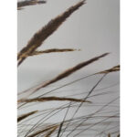 Sienų meno kūriniai WALLY 50x140cm, skubantys - Image 2