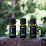 Saunos kvapas RENTO Wood Tar 10ml - Image 2