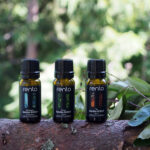 Saunos kvapas RENTO Eucalyptus 10ml